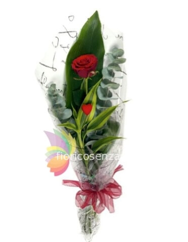 1 rosa rossa a stelo lungo confezionata